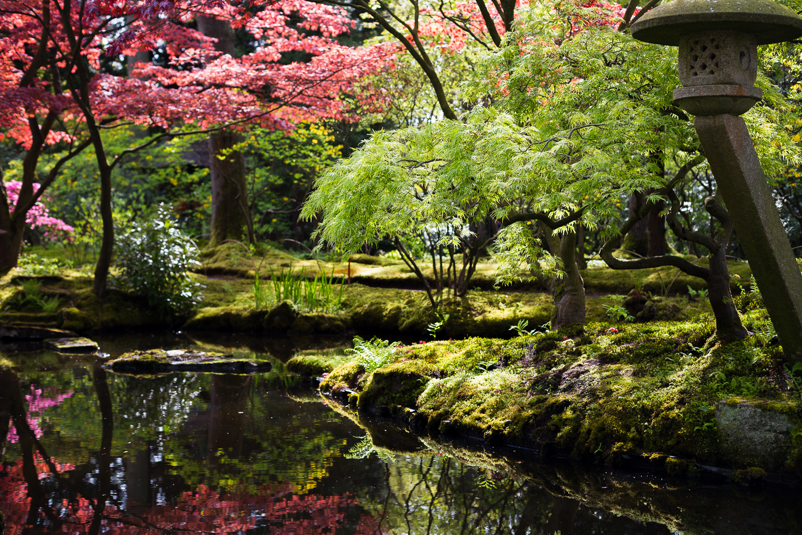 Japanse Tuin // Den Haag Evamaria Kulovits